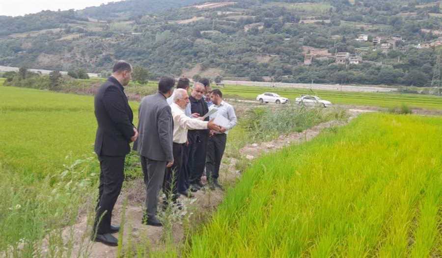 اعلام جرم دادستان علیه مدیر آب منطقه‌ای ساری